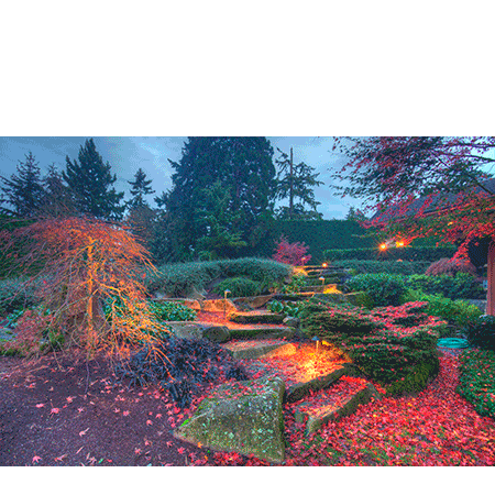 autumn-landscape-lighting-scene